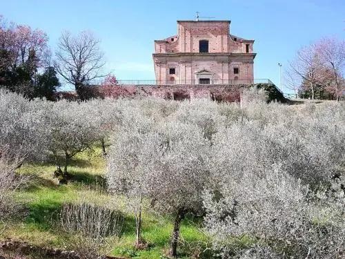 Agriturismo Etico Le Grazie - главное фото