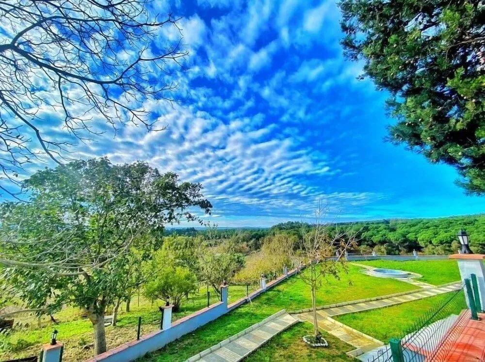 Green Roof Boutique Hotel & SPA - главное фото