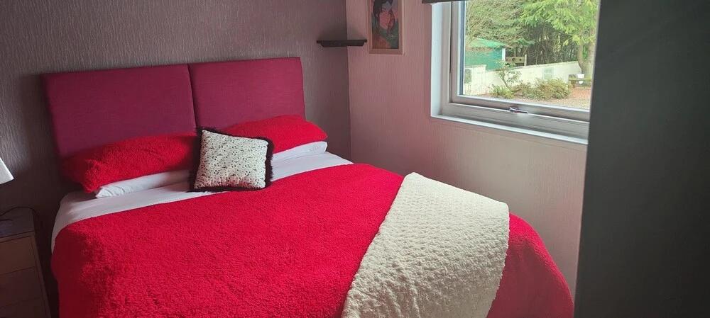 The Cabin Quiet, Relaxing and dog Friendly - главное фото