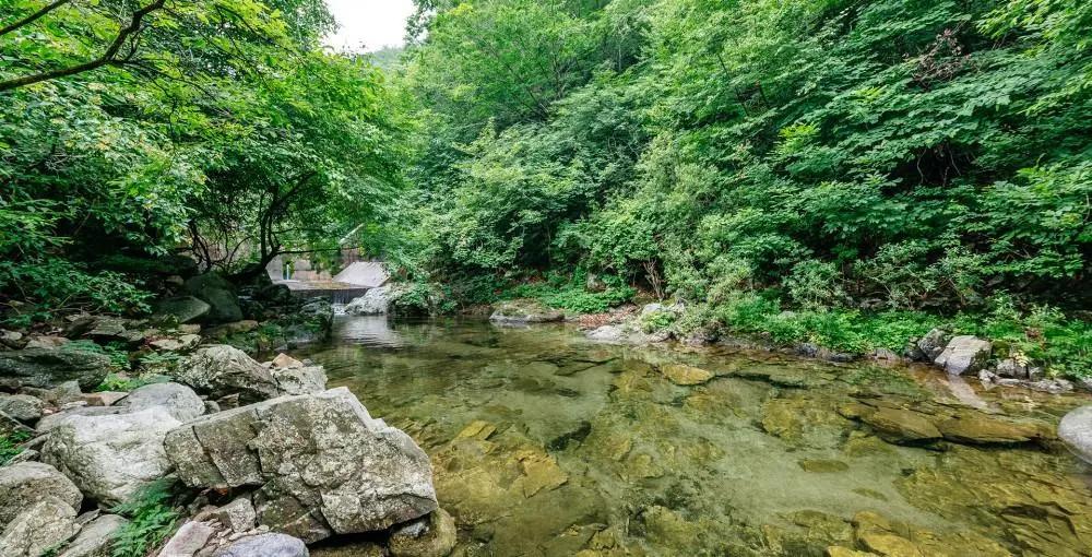 Chulwon Pause Pension - главное фото
